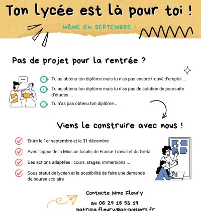 Flyer Ambition Emploi